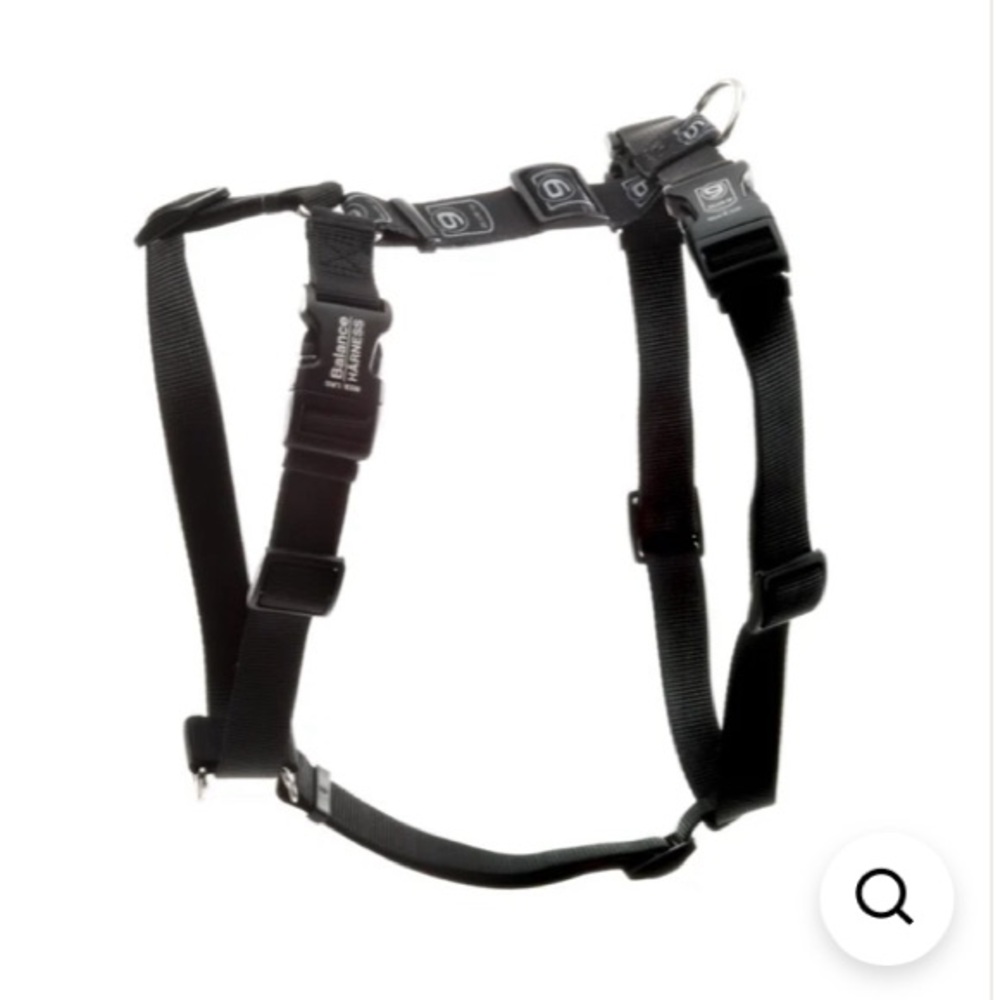 Blue 9 Balance dog Harness size M/L